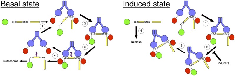 Fig. 4.