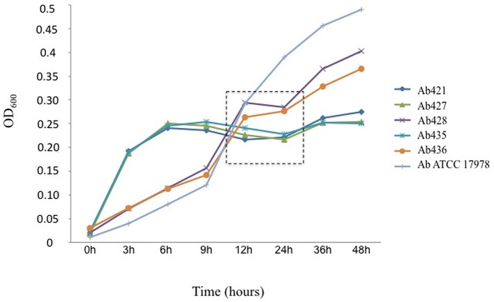 Figure 4