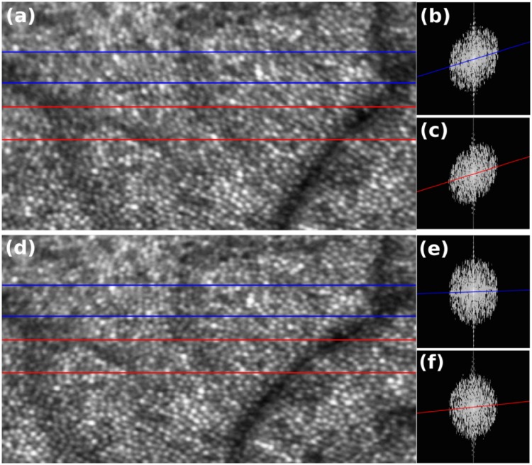 Fig 9