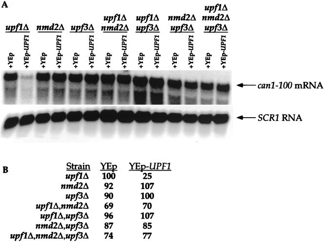 FIG. 6