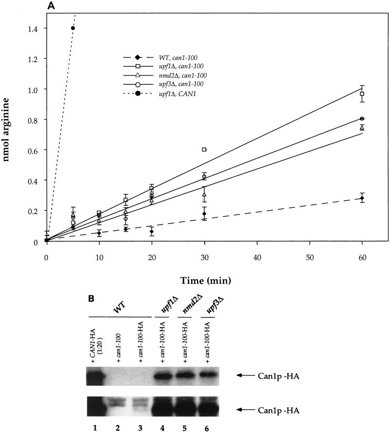 FIG. 3