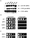 FIG. 1