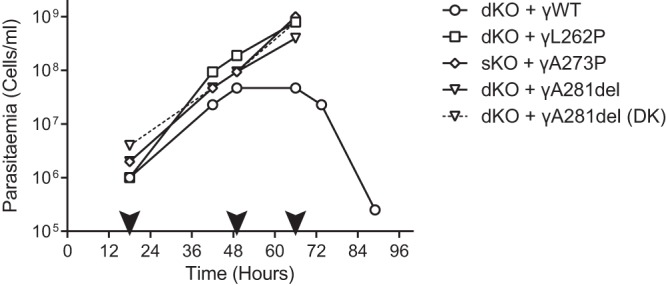 FIG 1