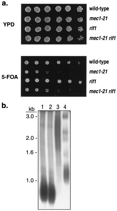 FIG. 7