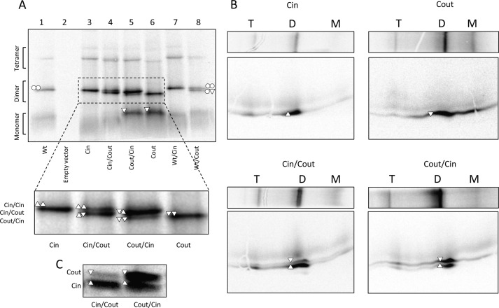 FIGURE 2.