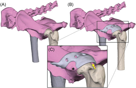 Figure 1 