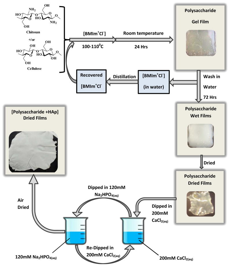 Scheme 1