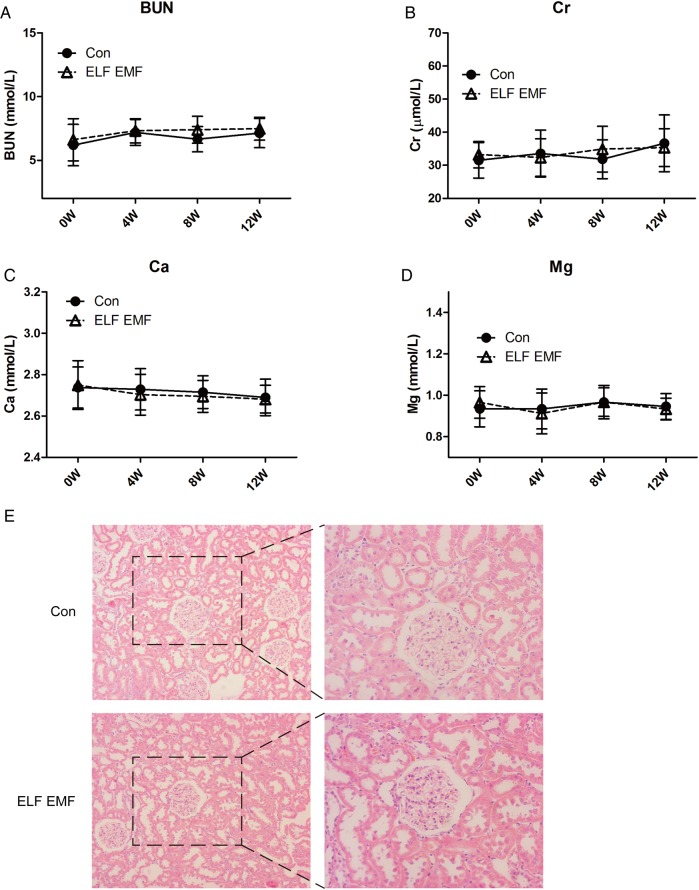 Fig. 6.