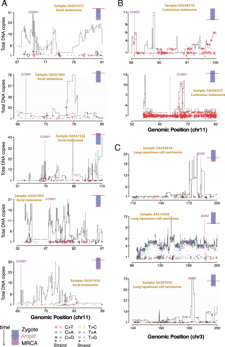 Extended Data Fig. 9