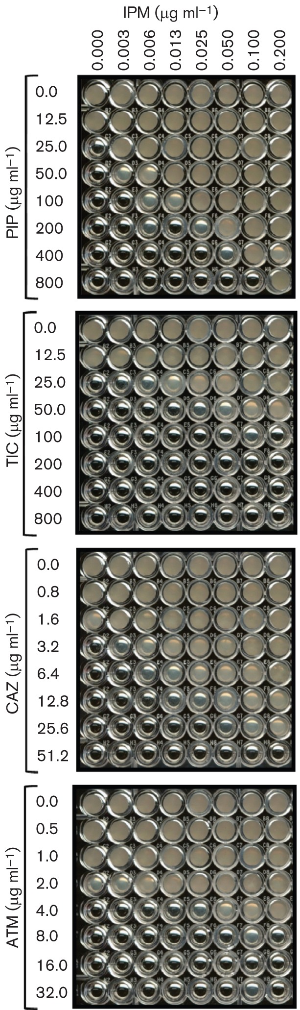 Fig. 2. 