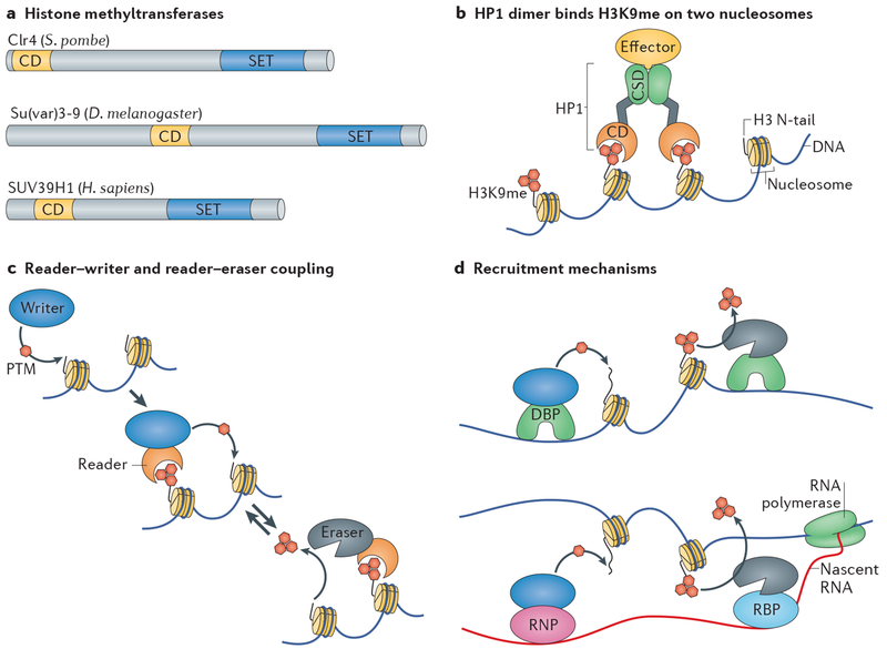 Figure 1 |