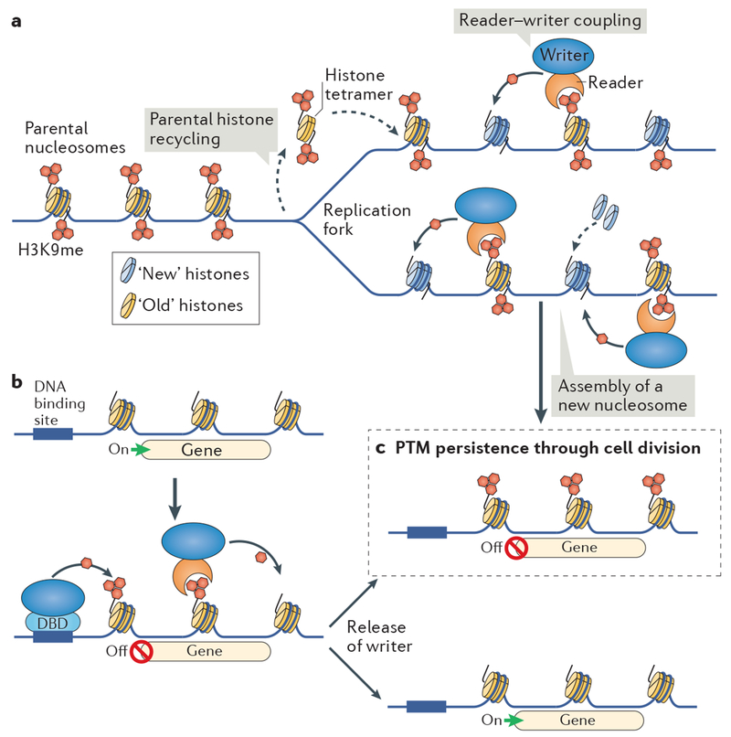 Figure 4 |