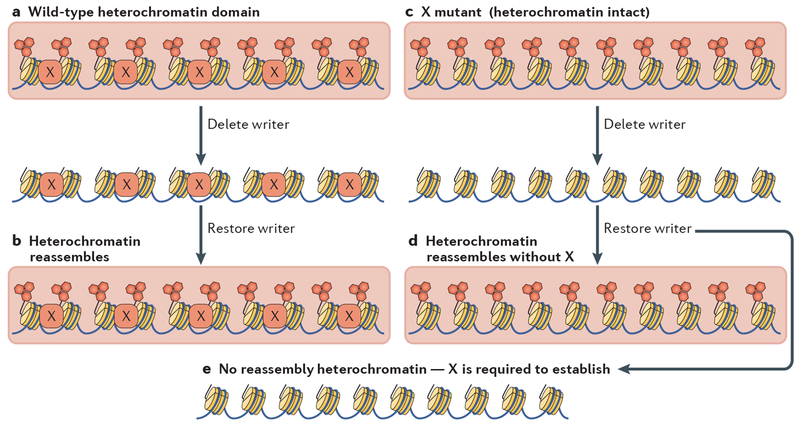 Figure 2 |