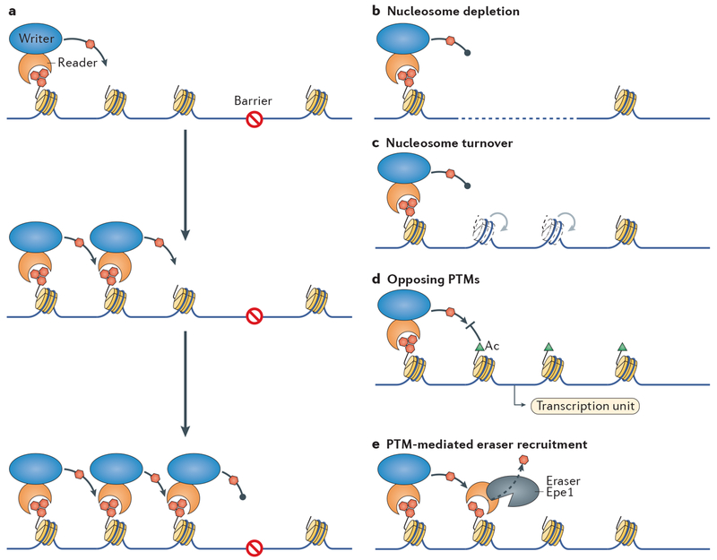 Figure 3 |