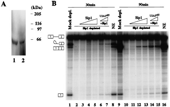 FIG. 7