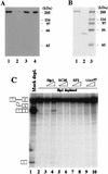 FIG. 6