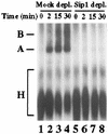 FIG. 8