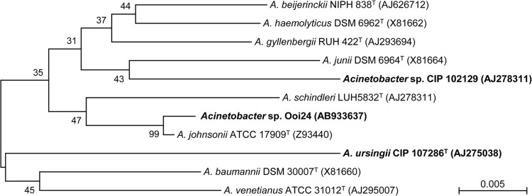 FIG 6