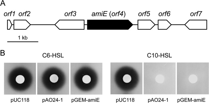 FIG 1