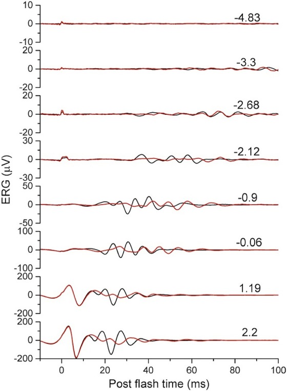 Figure 7