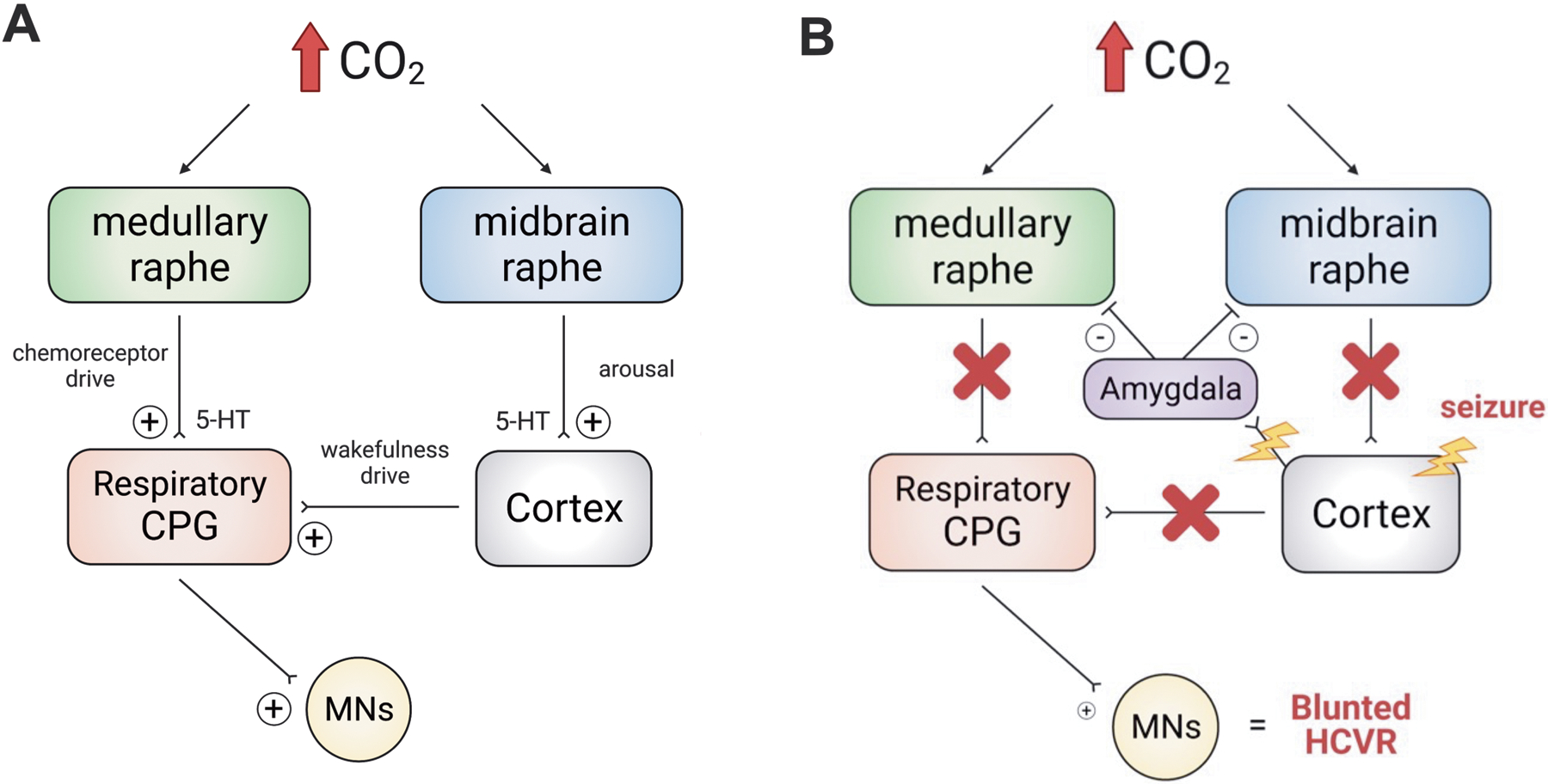 Figure 11.