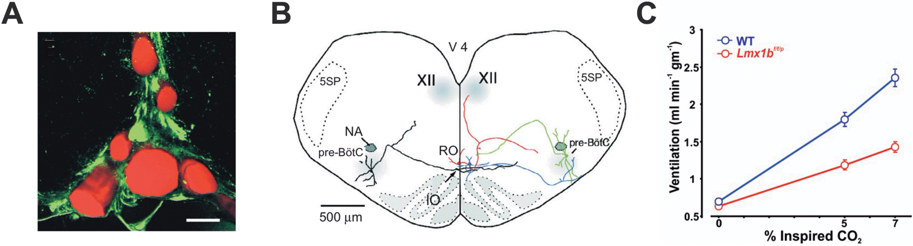 Figure 5.