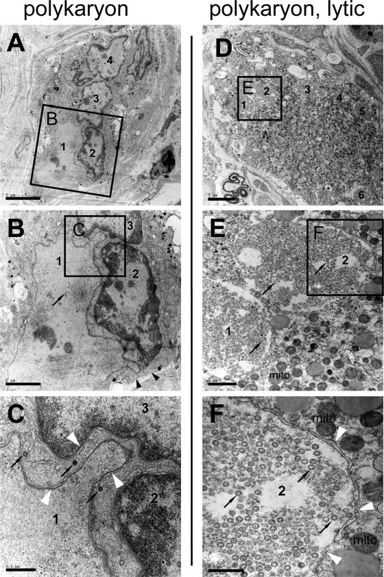 FIG. 6.