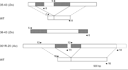 Fig. 2