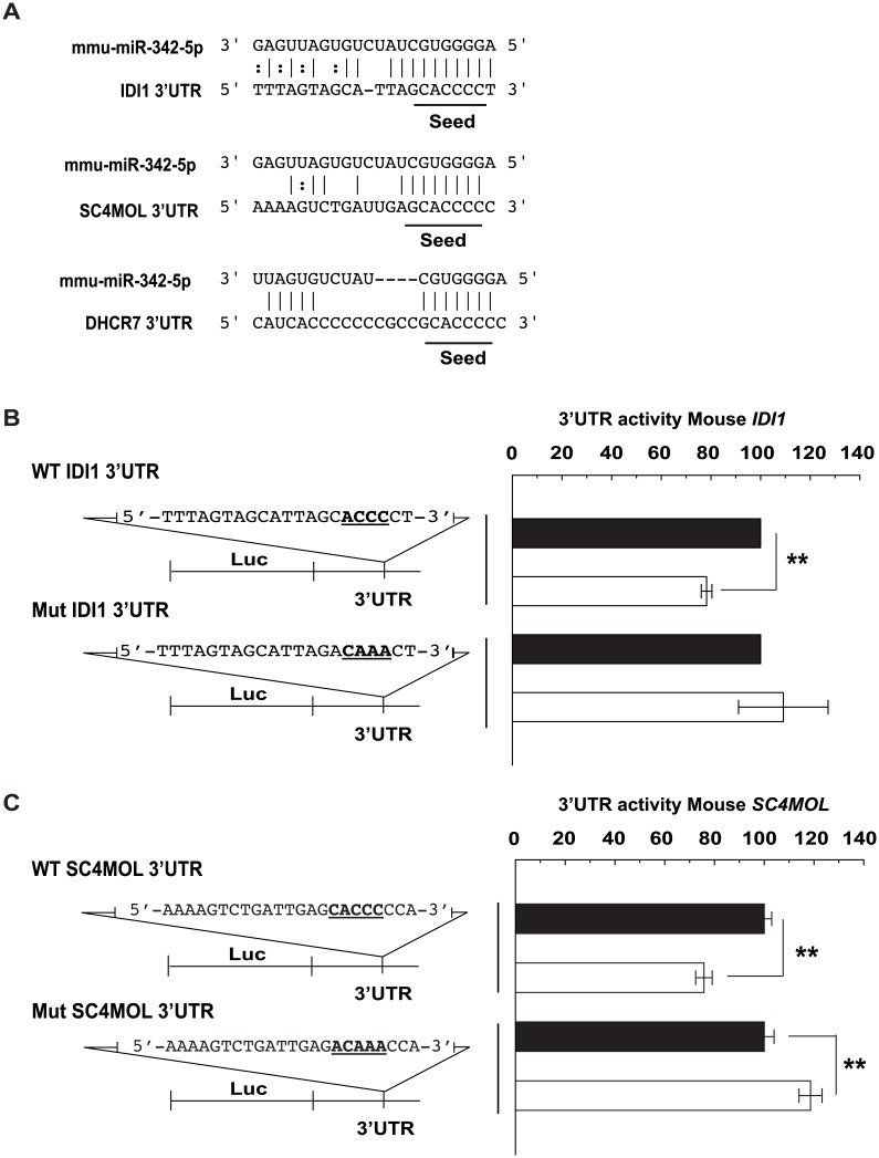 Fig 12