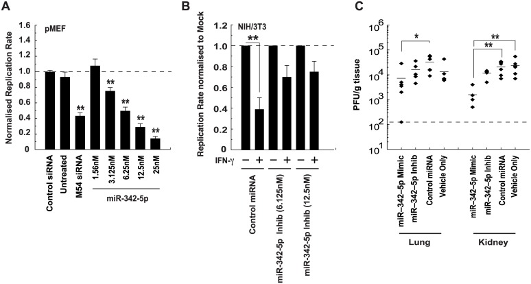 Fig 13