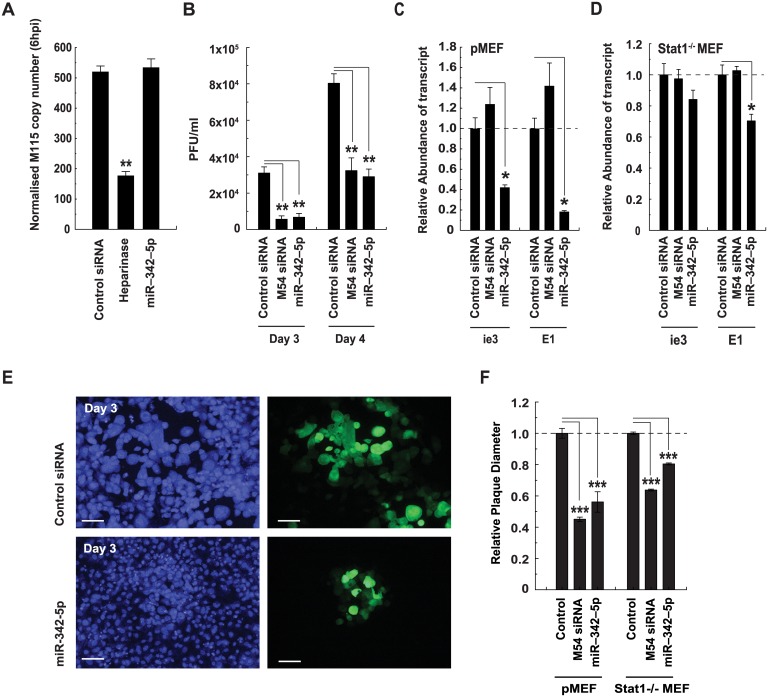 Fig 14