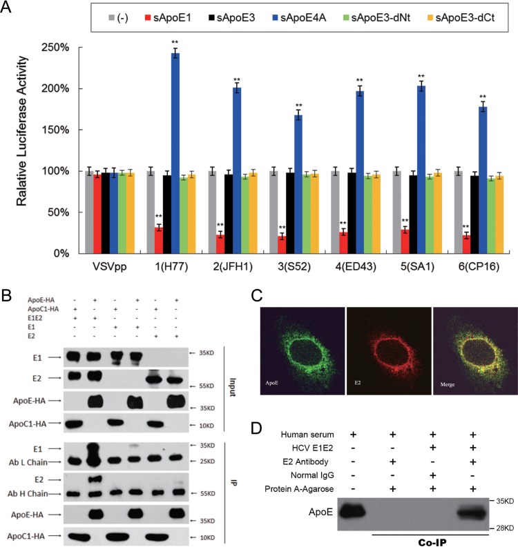 FIG 6