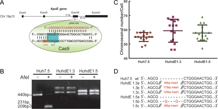 FIG 4