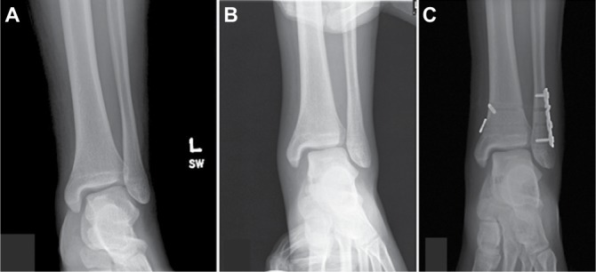 Figure 7