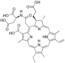 graphic file with name brainsci-13-01299-i005.jpg