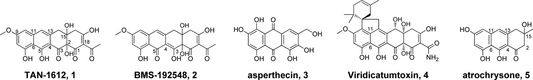 Scheme 1