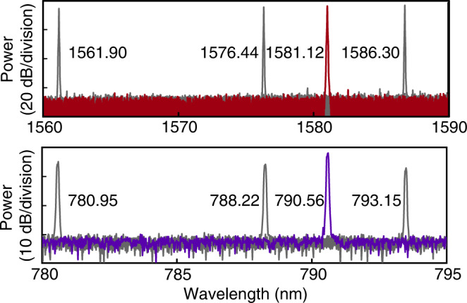 Fig. 8