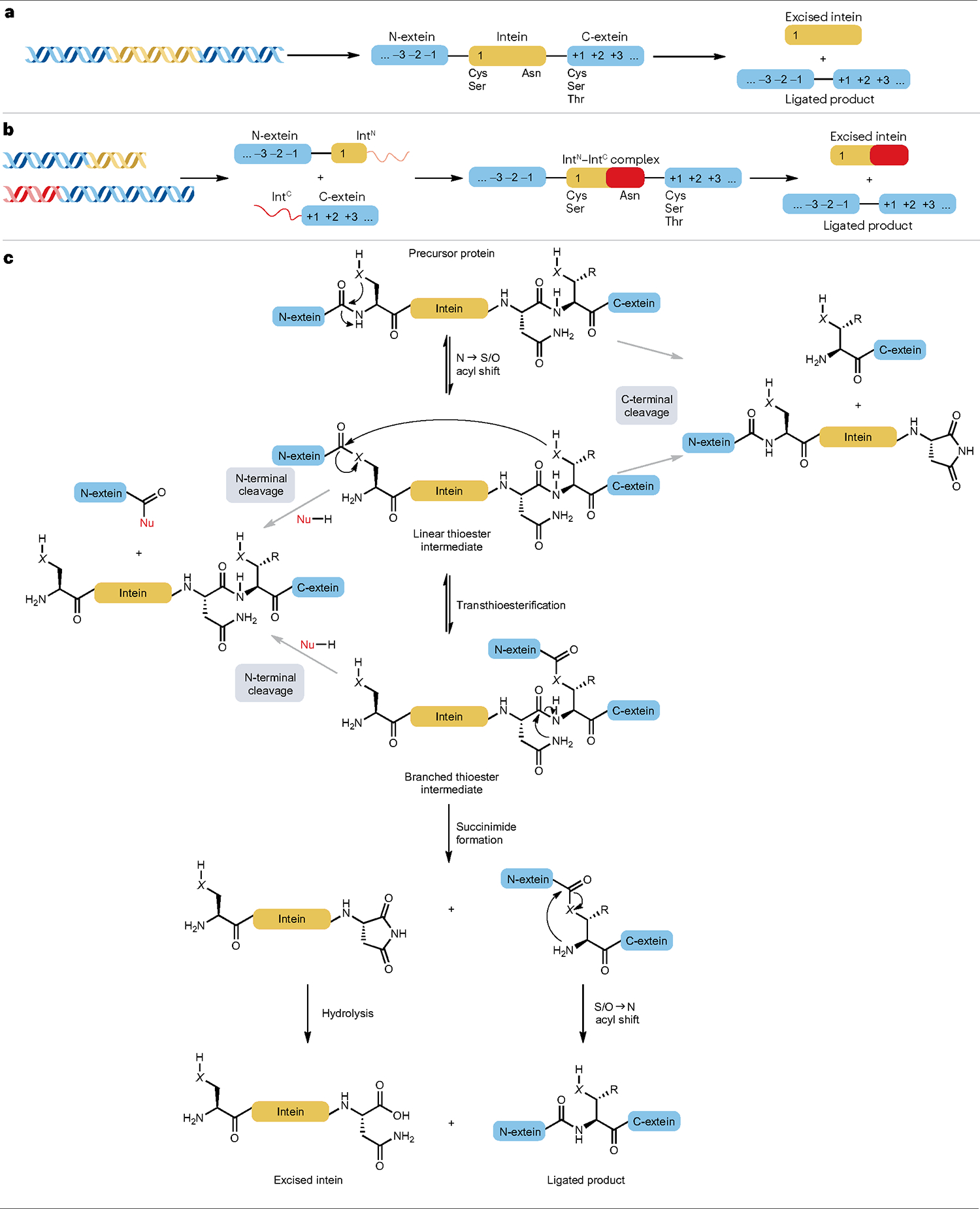 Fig. 7 |