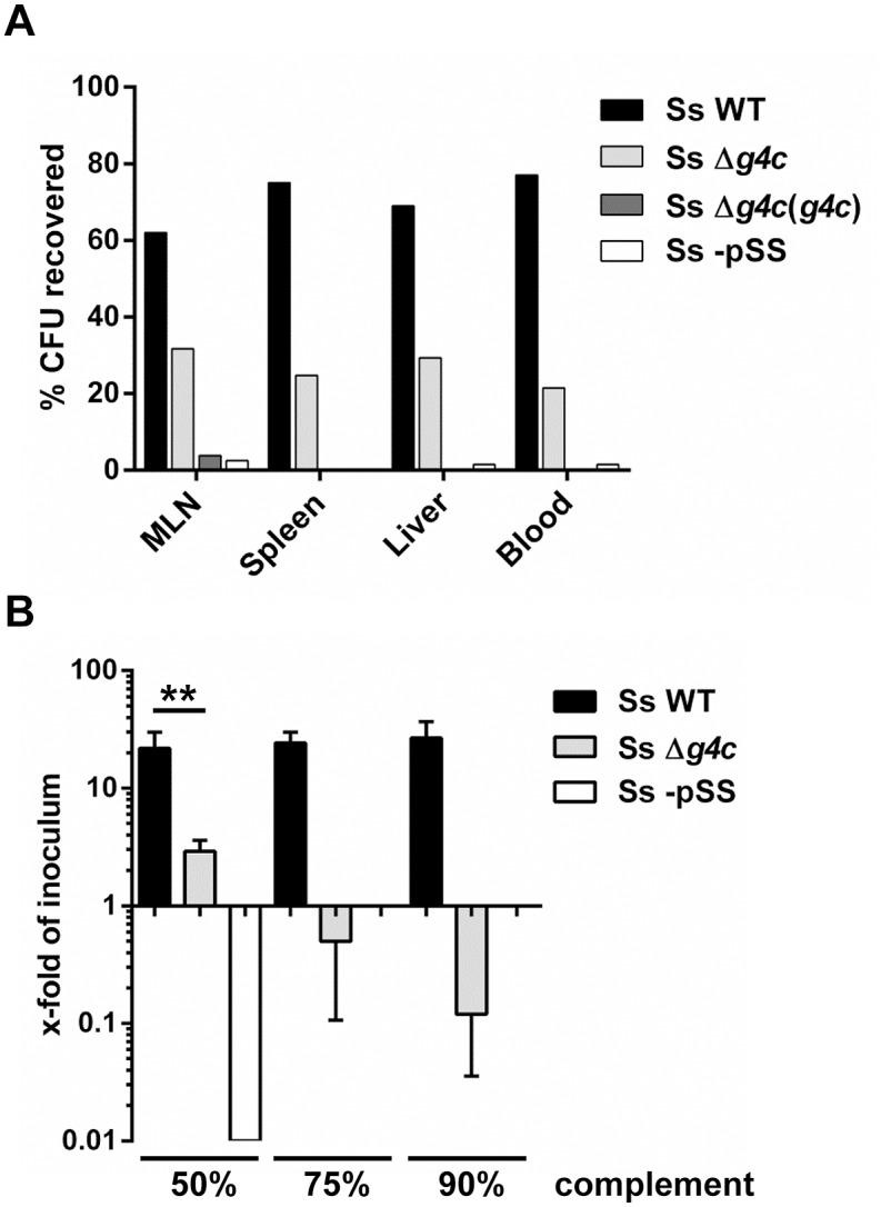 Fig 6