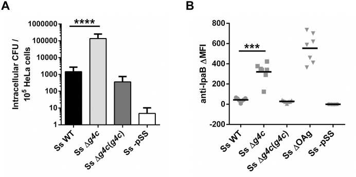 Fig 4