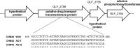FIG 1