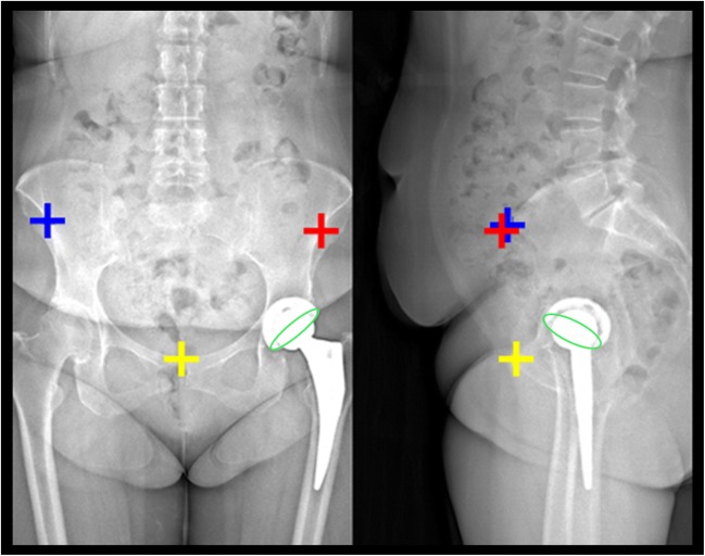 Fig. 2