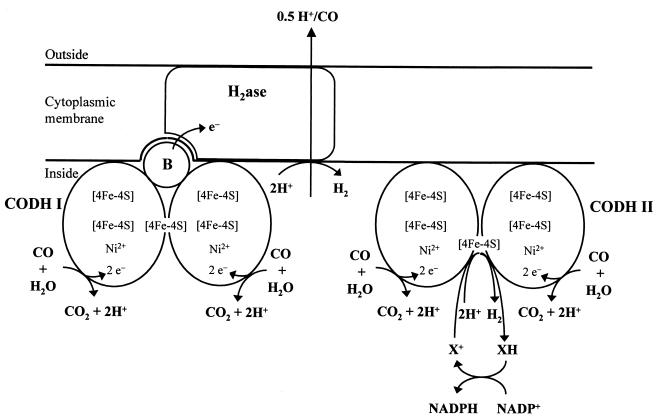 FIG. 5