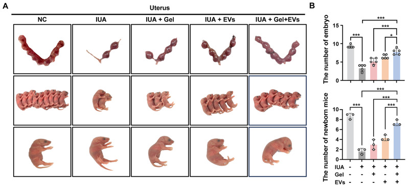 Fig. 7