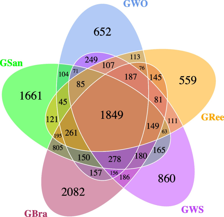 Fig. 2