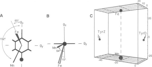 graphic file with name pnas01134-0056-a.jpg