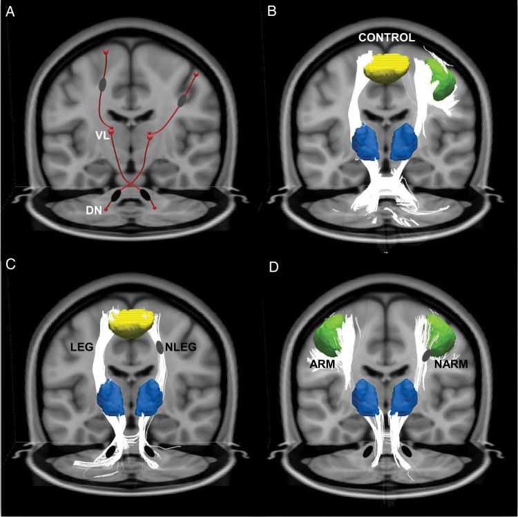 Figure 6.