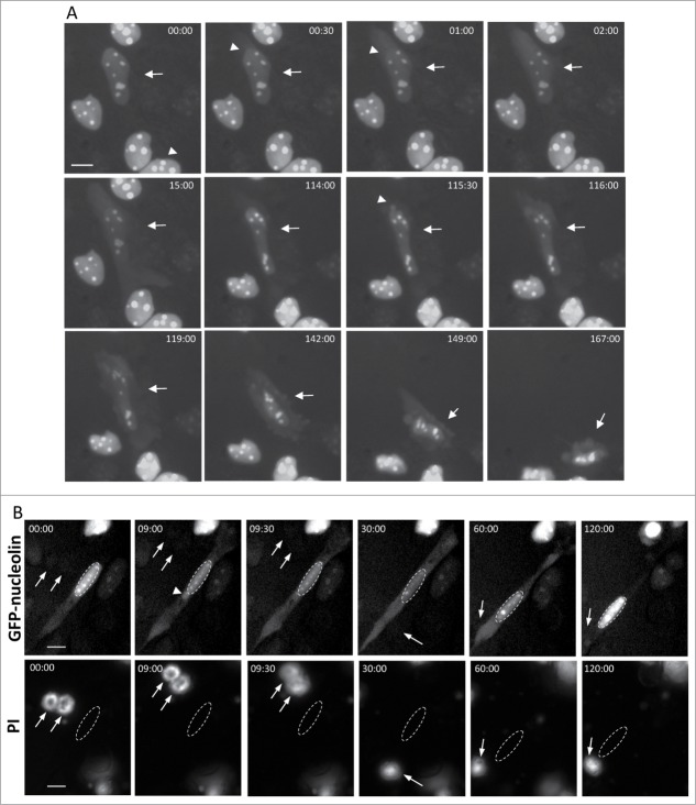 Figure 2.