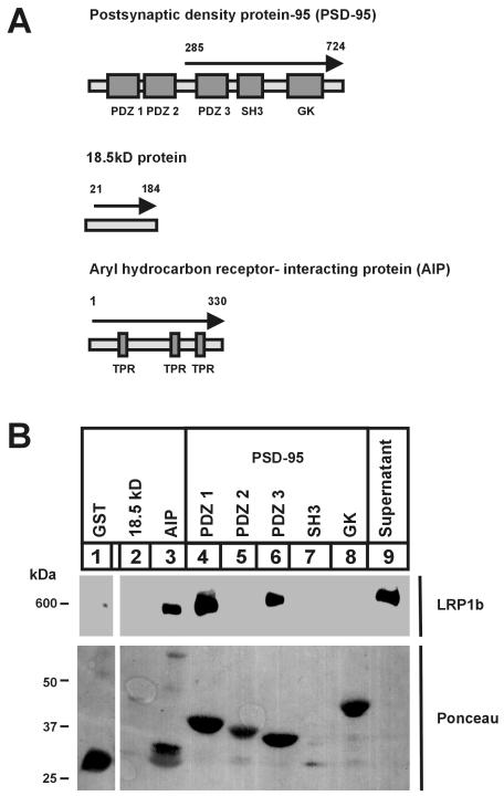 FIG. 8.