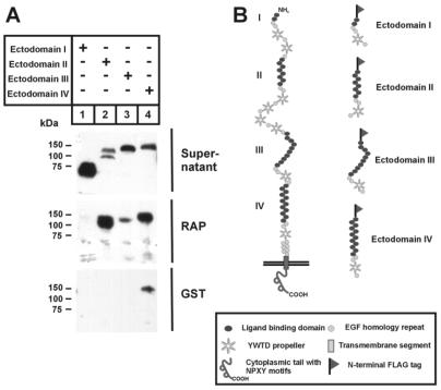 FIG. 9.